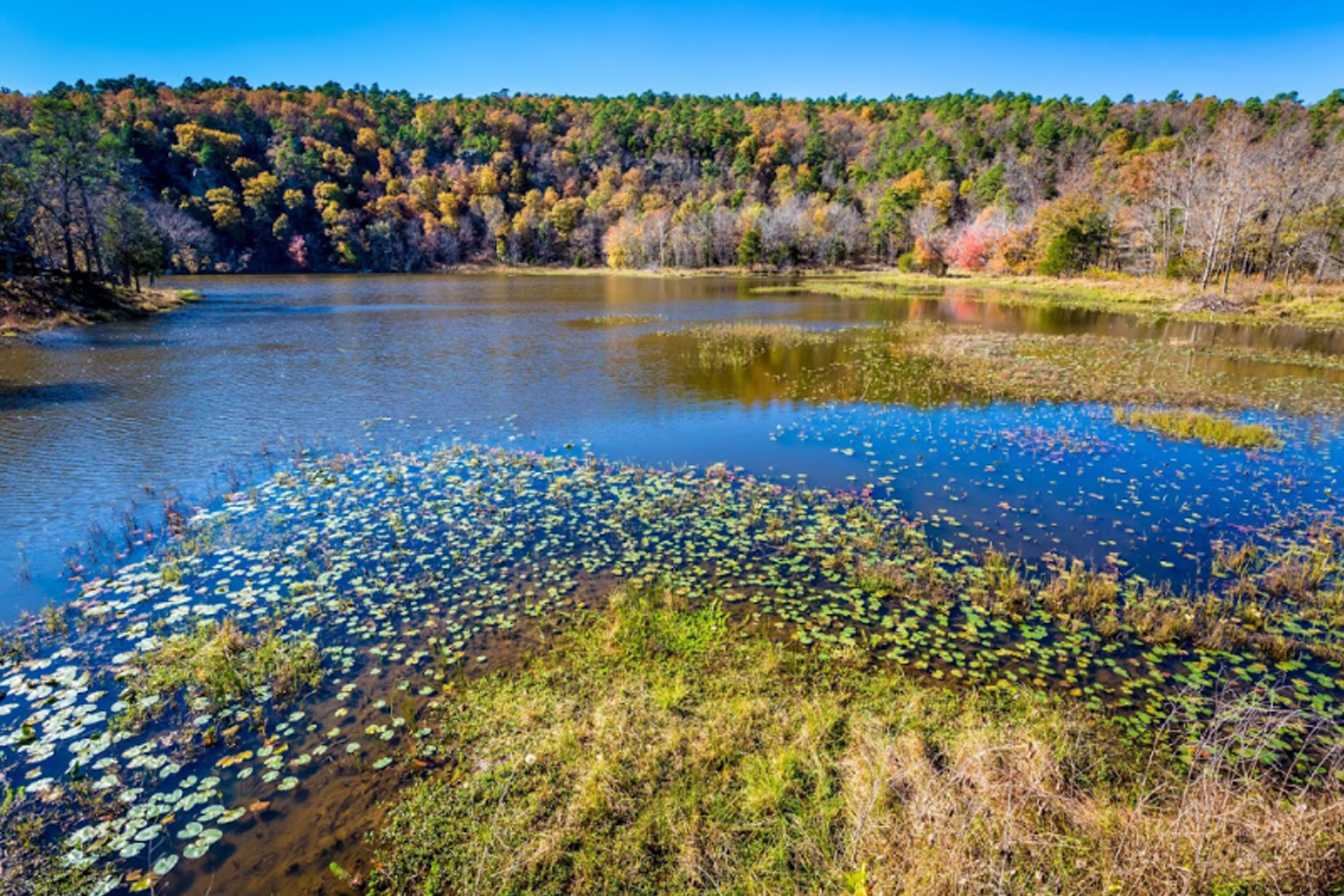 Weatherford Inn gallery feature image